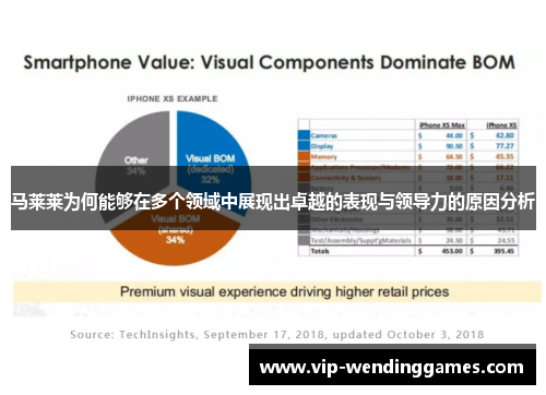 马莱莱为何能够在多个领域中展现出卓越的表现与领导力的原因分析